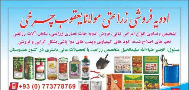 Agricultural spice shop in Logar