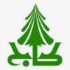 Wholesale of pine mobile phones - Image 2