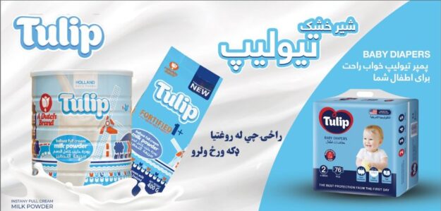 Tulip Full Cream Milk